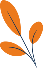 Plante